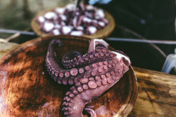  Plate of galician style cooked octopus. Pulpo a la gallega.