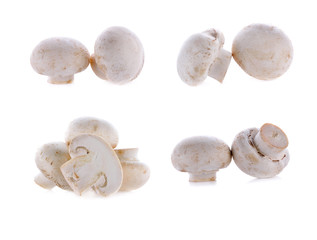 Champignon mushroom isolated on white background