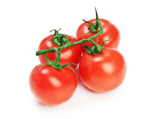 Tomato isolated on a white background