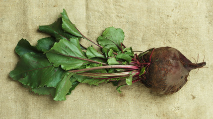beets with tops on sacking