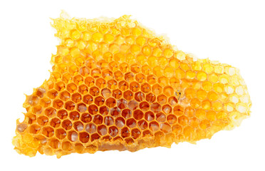 Honey Bee Wax Honeycomb