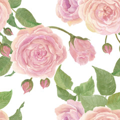 Watercolor Seamless pattern with Beautiful rose flowers on white background , Watercolor painting