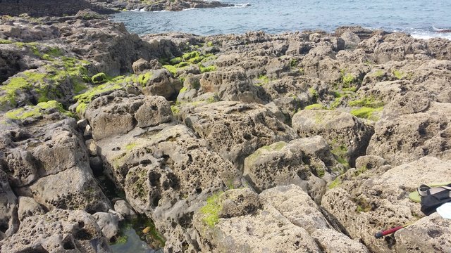 El pedregal