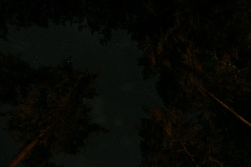 Obraz na płótnie Canvas long exposure stars trees lake and sky 