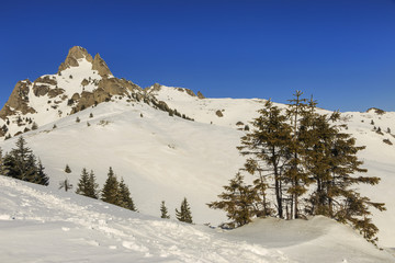 Winter panorama with snow covered mountains