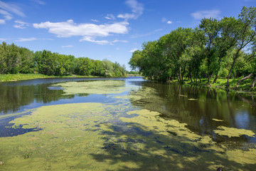 marshy lake