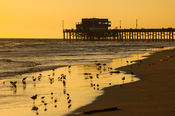 Obraz premium Newport beach pier sunset silhouette