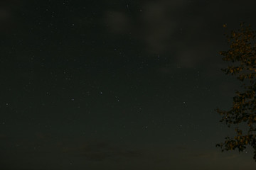long exposure stars trees lake and sky 