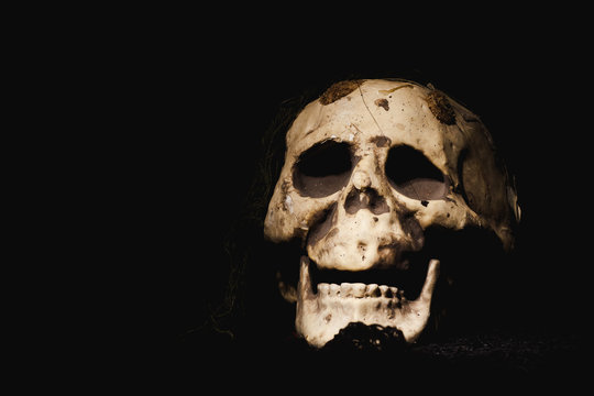 Skull Halloween In dark tone.