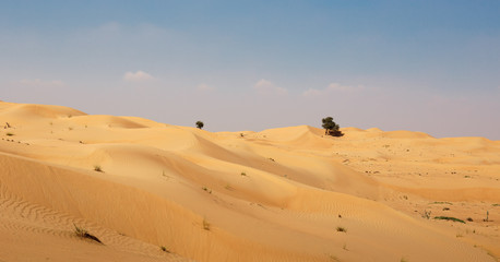 Fototapeta na wymiar Arabian desert in Dubai