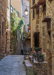 Obraz na płótnie Canvas Narrow street with flowers in the old town Coaraze in France