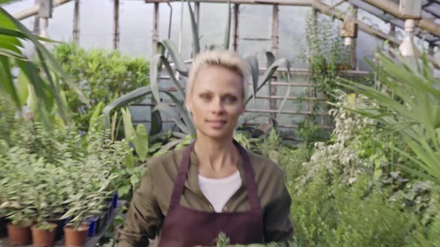 Happy woman holding box with fresh harvest and walking through greenhouse at farm