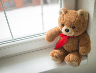 Teddy bear on the window
