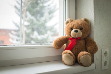 Teddy bear on the window