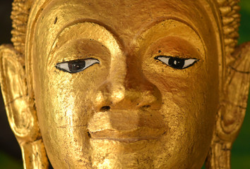 Fototapeta na wymiar The face of Buddha