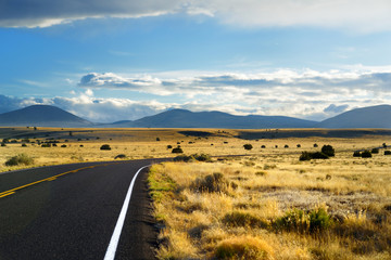 Beautiful endless wavy road in Arizona desert