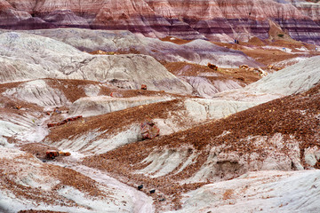 Striped purple sandstone formations of Blue Mesa badlands in Petrified Forest National Park