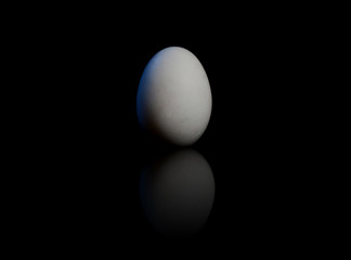 Fresh Egg Isolated on Black Background with Blue spot light