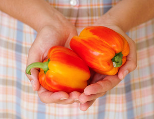 Red and yellow bell peppers in hands