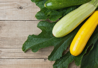 zucchini with leaves