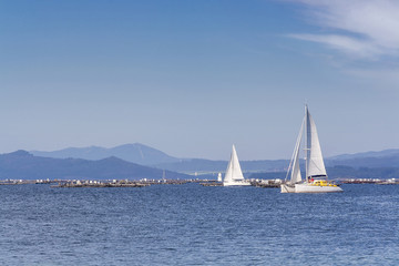 Fototapeta premium Sailing between mussel aquaculture rafts