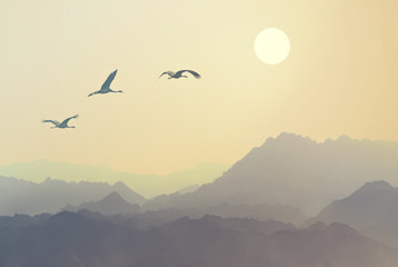 Migrating birds flying to the sun over the mountains. Flock of cranes in the sky against beautiful...