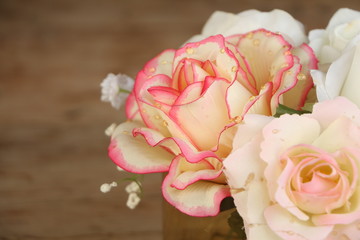Pink roses on green background.