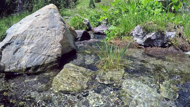 Loop with stream in the mountains. Grass and flowers on the bank of the brook. FHD video