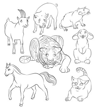 cat, goat rat, rabbit, tiger, horse and pig