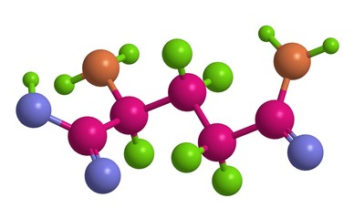 Molecular structure of L - glutamine