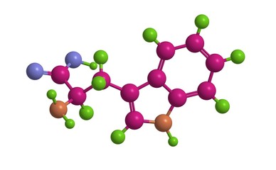 Molecular structure of trpytophan