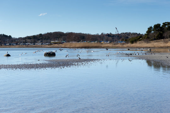 Askimbadet in Gothenburg on a spring day