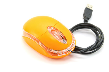 Computer mouse on white background