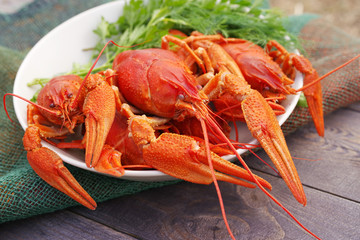 Boiled crayfish in a plate with parsley greens on a wooden background