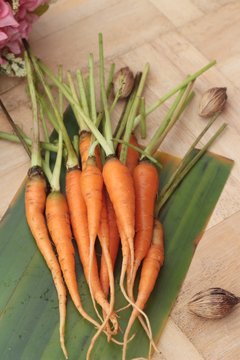 fresh carrot vegetables organic on wood background.