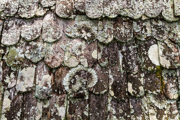 old wood roof
