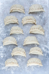 Overhead shot of raw Asian dumplings on a flour dusted tray . Food preparation 