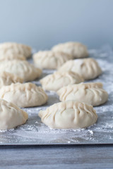 Fototapeta na wymiar Hand shaped Chinese dumplings on a flour dusted tray.Selective focus 