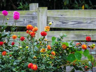 Obraz premium North Carolina Mast Farm Inn Gardens