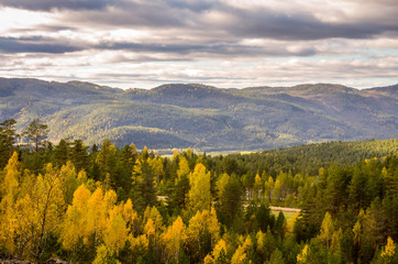 Obraz premium cloudy forest landscape in norwegian autumn