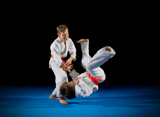 Little boys martial arts fighters