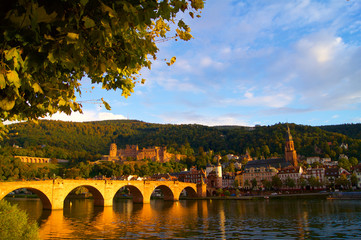 Heidelberg Bridge Germany