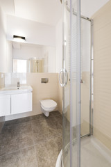 Fototapeta na wymiar Modern bathroom with shower