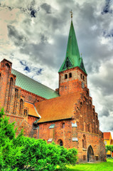 Fototapeta na wymiar Saint Olaf cathedral in the old town of Helsingor - Denmark