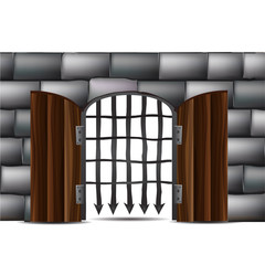 Door with bars