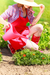 Fototapeta premium woman watering plants in garden