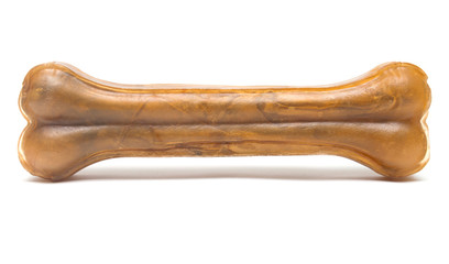 Big dog a bone to chew