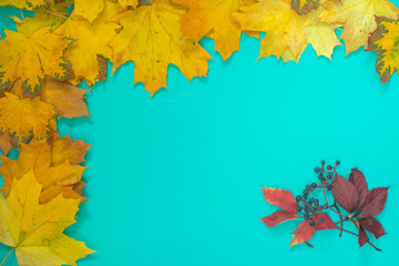 Greeting card with frame of autumn yellow leaves