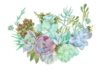 watercolor flowers succulents - 123653788