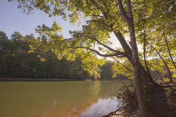 Obraz premium A view of Lake Norman in Troutman, North Carolina.